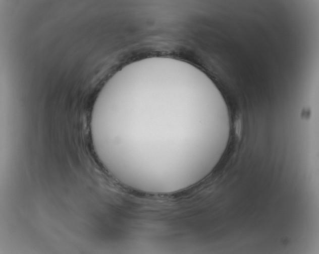 X0000114131347200910080952