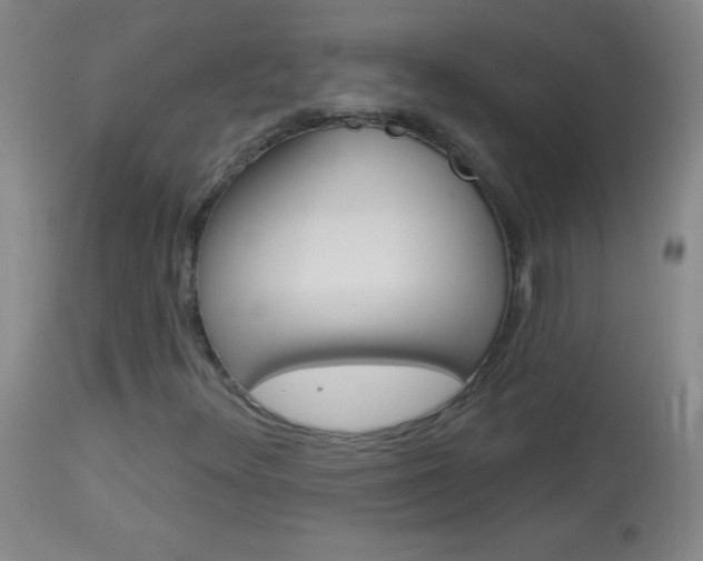 X0000114131348200910080952