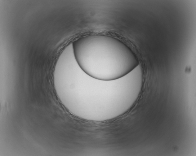 X0000114131349200910080952