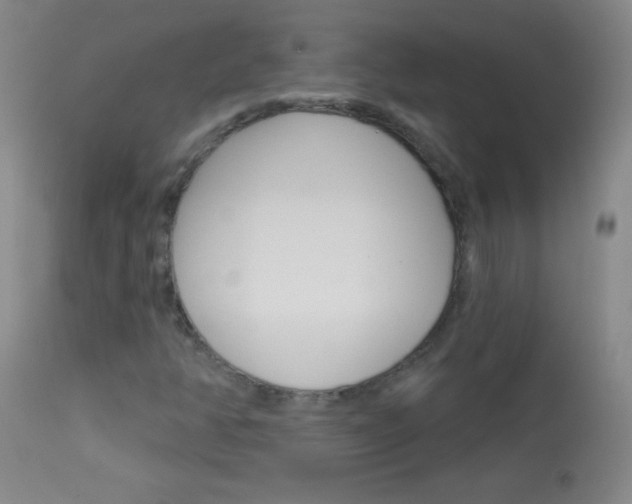 X0000114131350200910080952