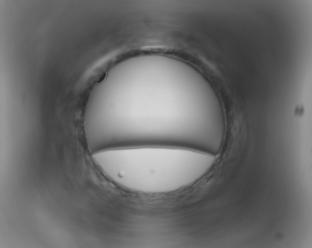 X0000114131351200910080952