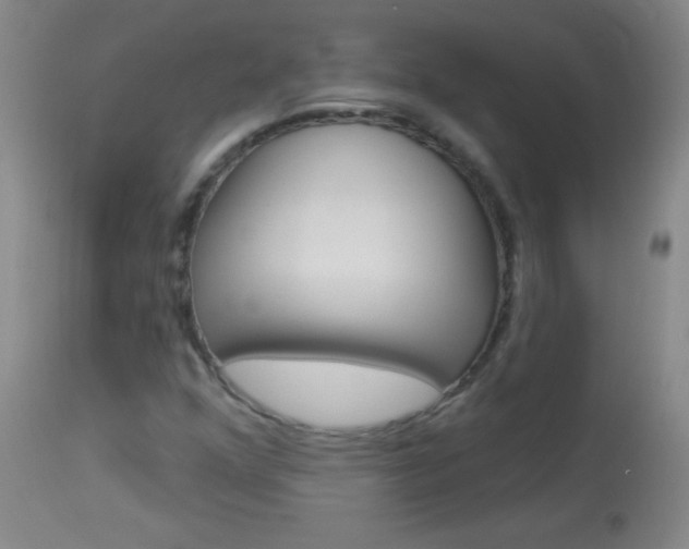 X0000114131352200910080952