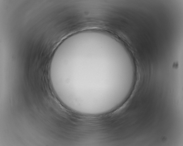 X0000114131353200910080952