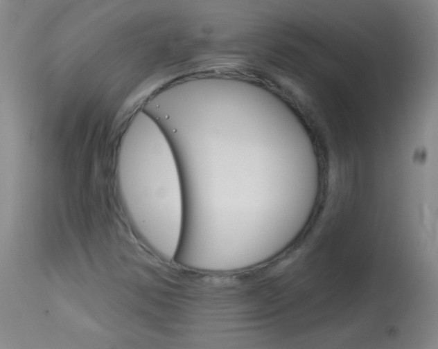X0000114131354200910080952
