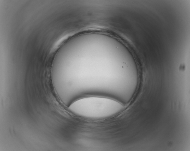 X0000114131355200910080952