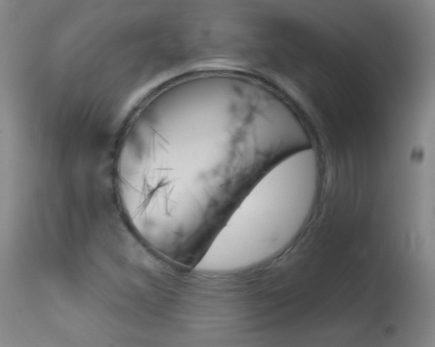 X0000114131356200910080952