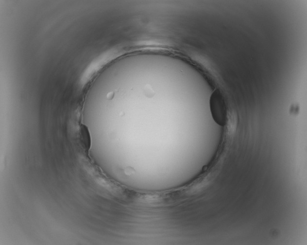 X0000114131357200910080952