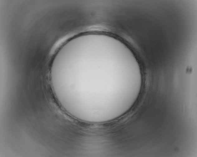 X0000114131358200910080952