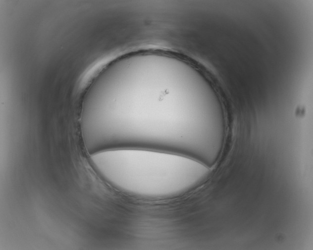 X0000114131359200910080952