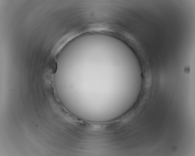 X0000114131361200910080952