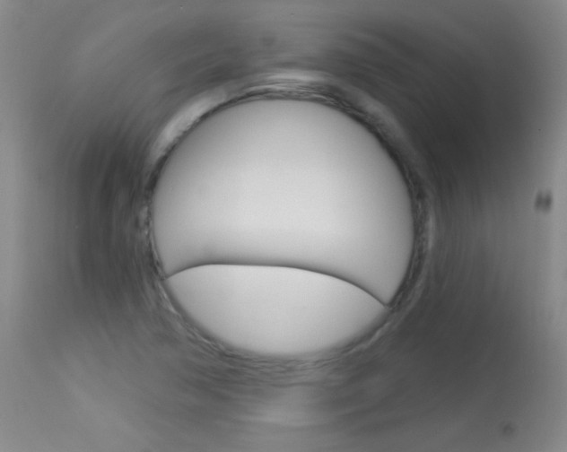 X0000114131362200910080952