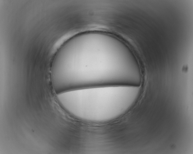 X0000114131363200910080952