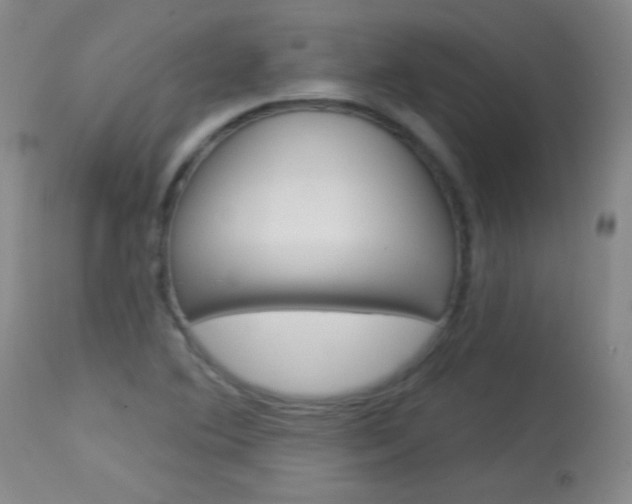 X0000114131364200910080952