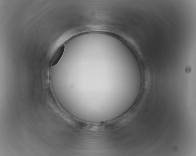 X0000114131365200910080952