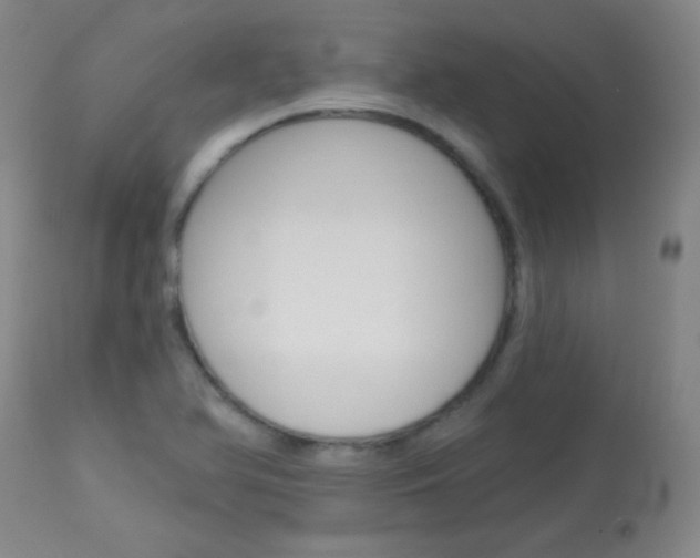X0000114131366200910080952