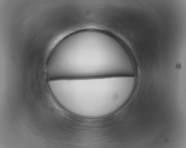 X0000114131367200910080952