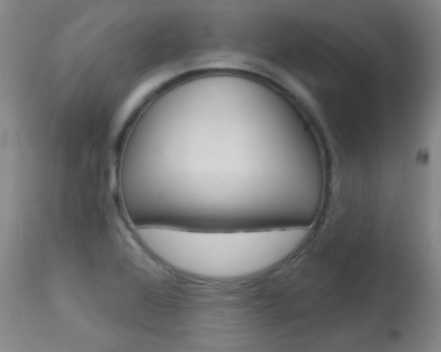 X0000114131368200910080952