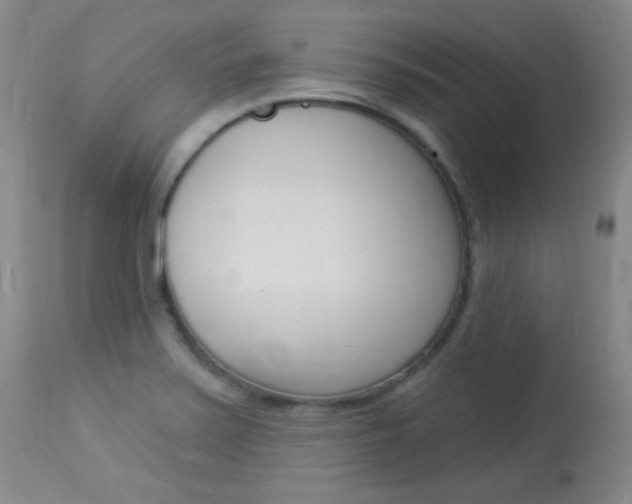 X0000114131371200910080952