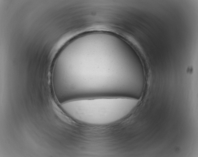 X0000114131372200910080952