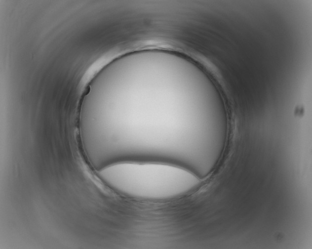 X0000114131373200910080952