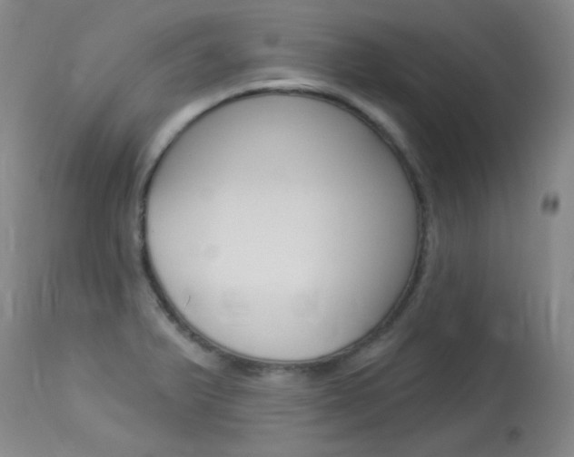 X0000114131375200910080952