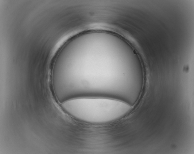 X0000114131376200910080952