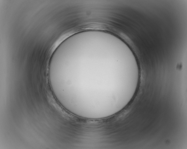 X0000114131378200910080952