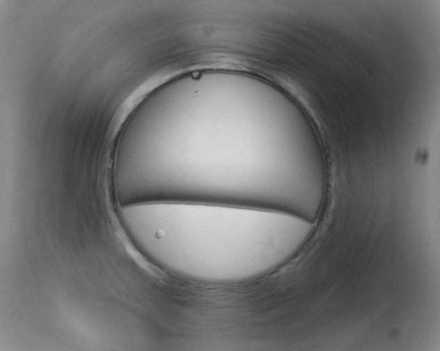X0000114131379200910080952
