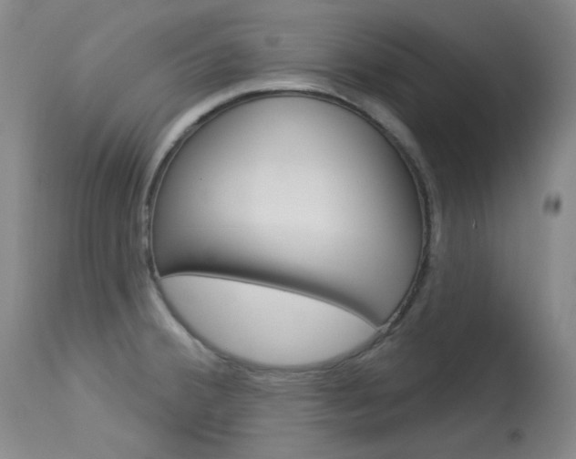 X0000114131380200910080952