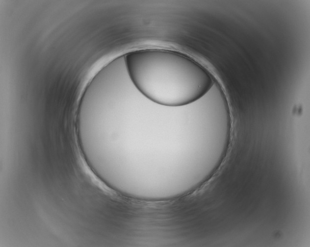 X0000114131381200910080952