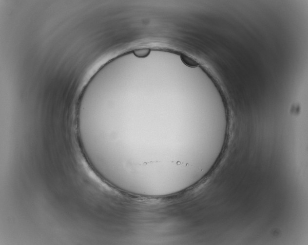 X0000114131382200910080952