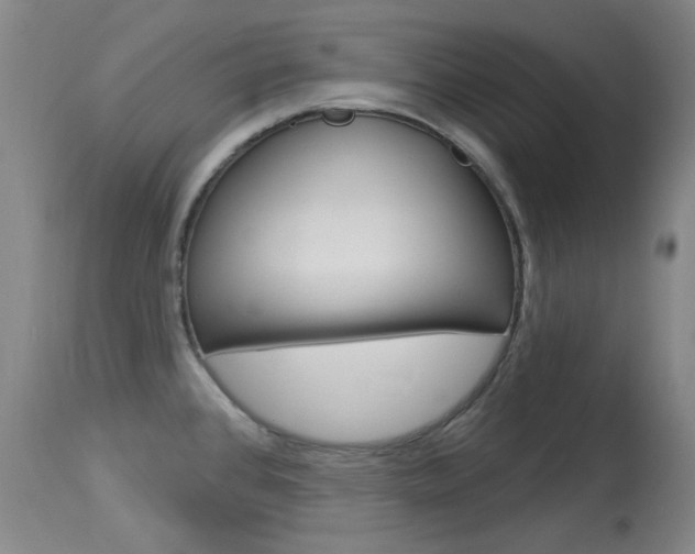 X0000114131384200910080952