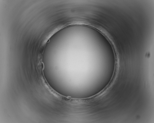 X0000114131385200910080952