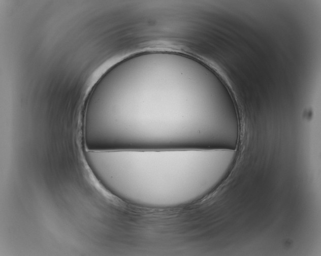 X0000114131387200910080952