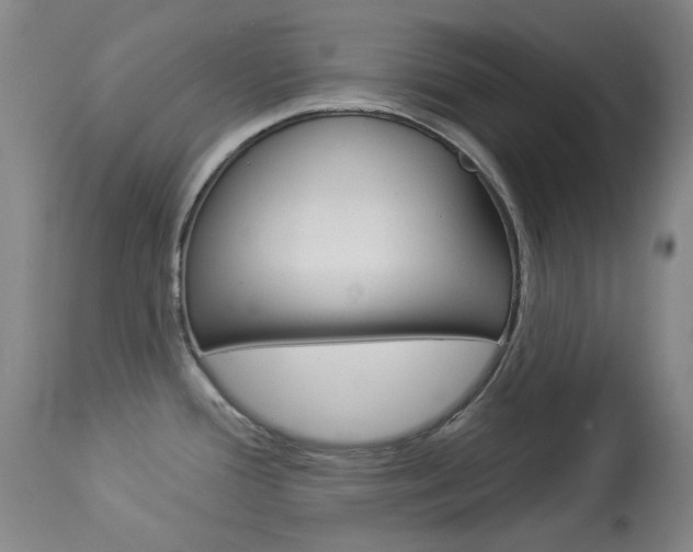 X0000114131388200910080952