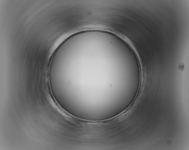 X0000114131389200910080952