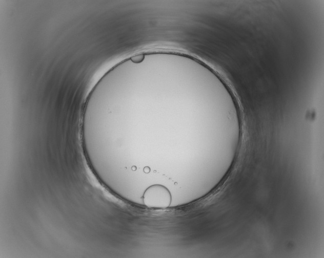 X0000114131390200910080952