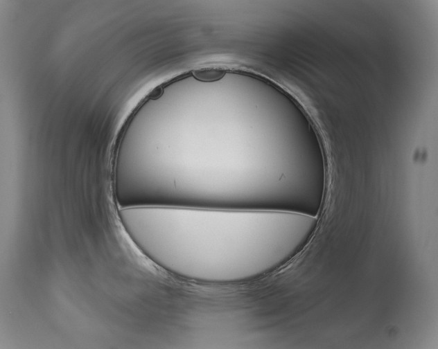 X0000114131392200910080952