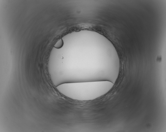 X0000114131393200910080951