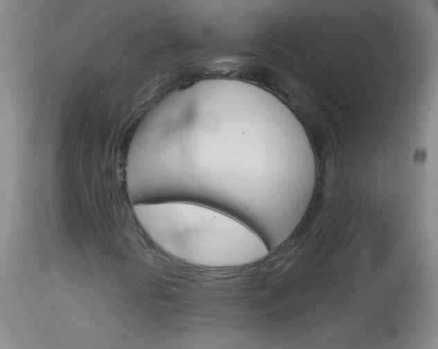 X0000114131394200910080951