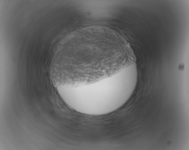 X0000114131395200910080951