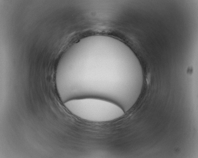 X0000114131396200910080951