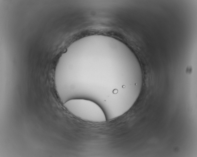 X0000114131397200910080951