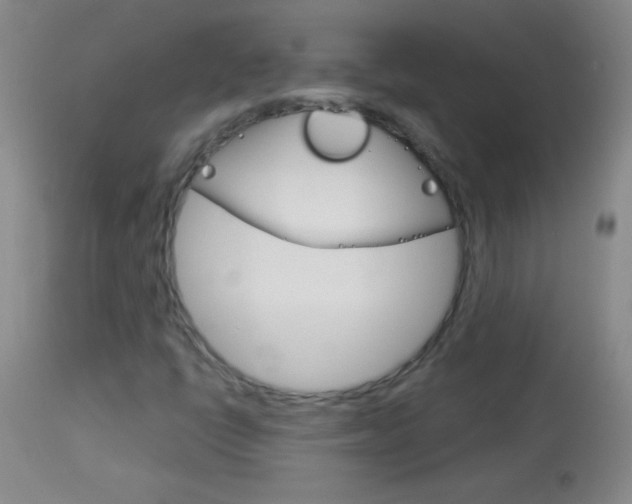 X0000114131398200910080951