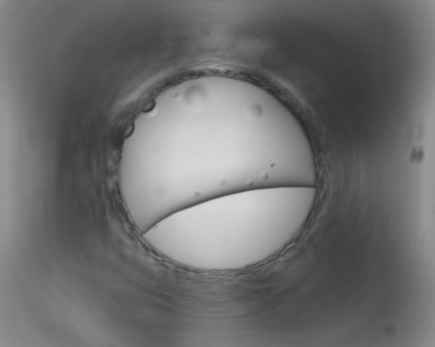X0000114131399200910080951