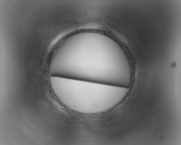X0000114131400200910080951