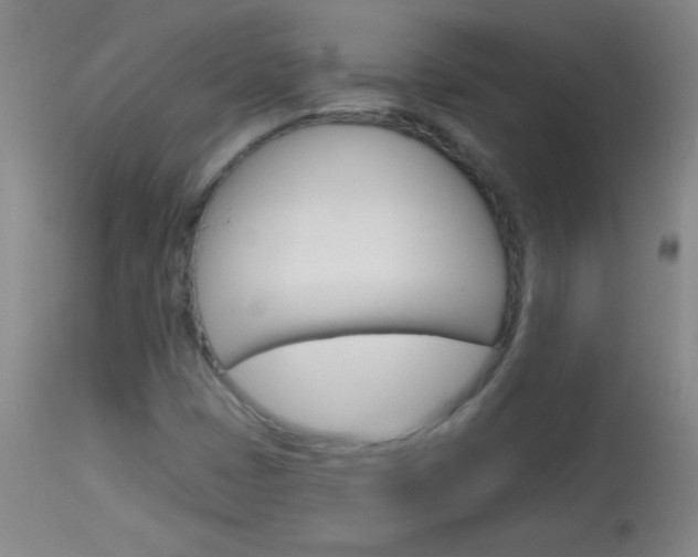 X0000114131401200910080951