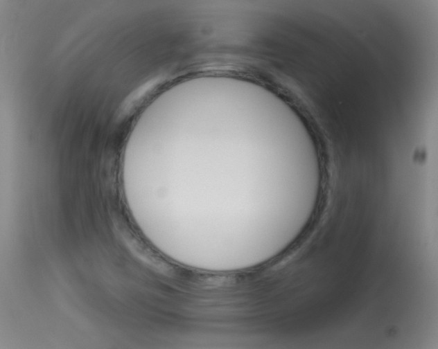 X0000114131403200910080951