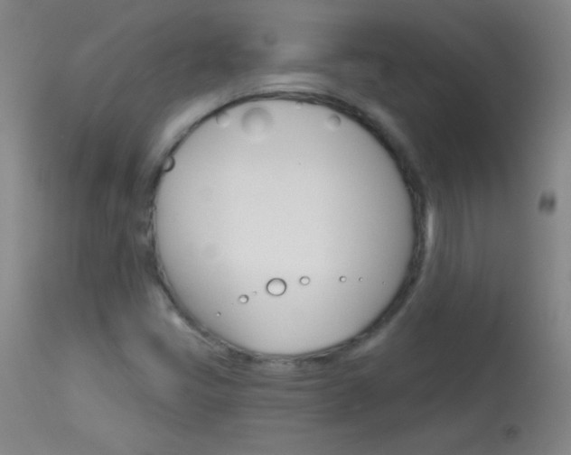X0000114131405200910080951