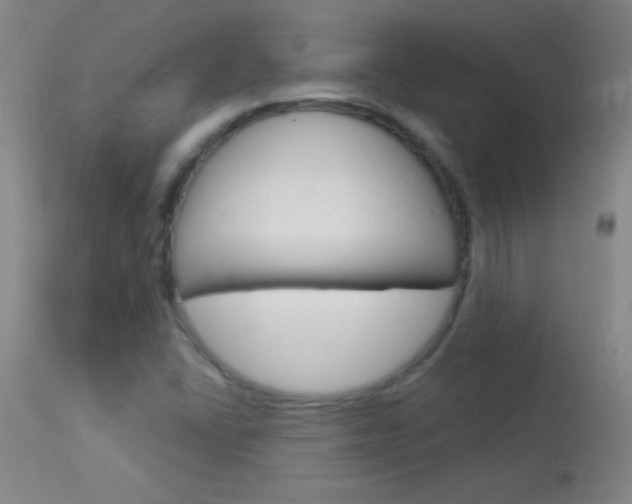 X0000114131406200910080951